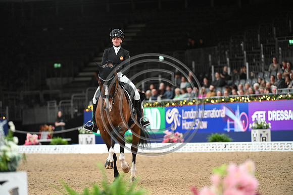 London International Horse Show