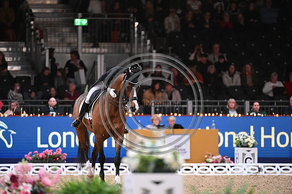 London International Horse Show