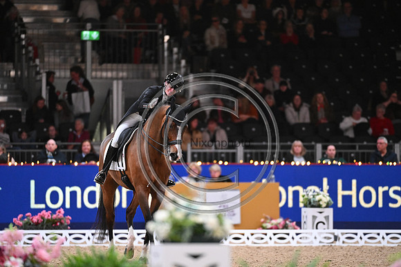 London International Horse Show