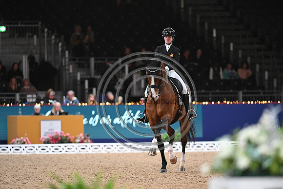 London International Horse Show