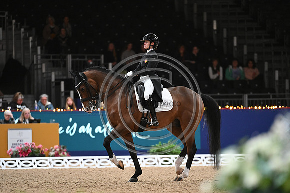 London International Horse Show