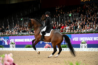 London International Horse Show