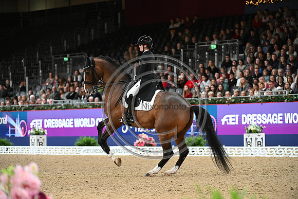 London International Horse Show
