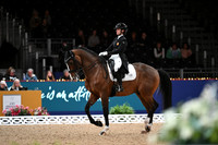 London International Horse Show