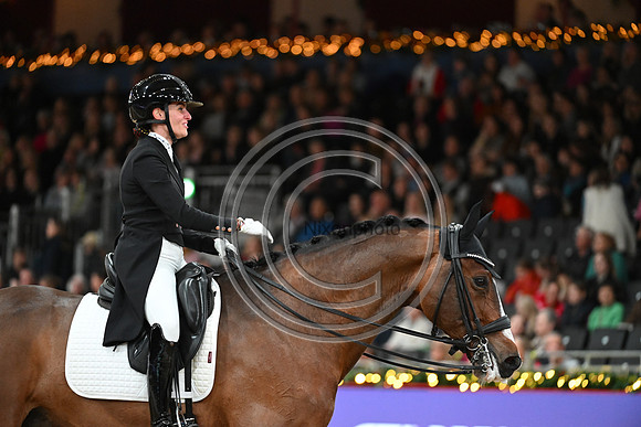 London International Horse Show