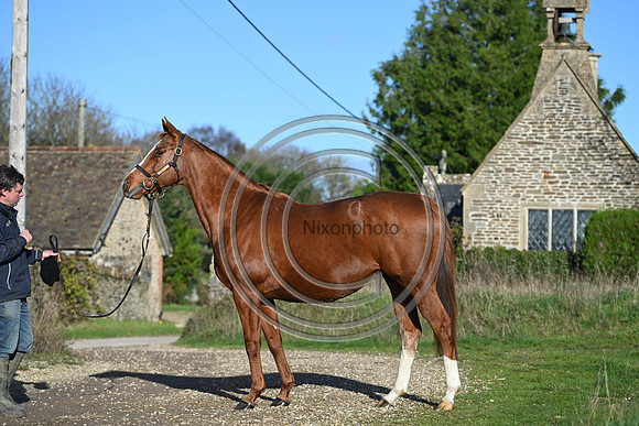Mare_Selwood_PN37