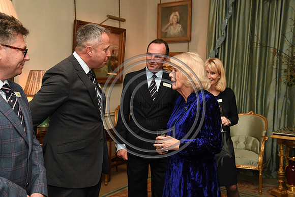 DUCHESS OF CORNWALL_BEF_PN22_11035