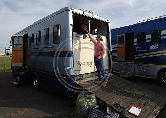 OlympicHorses_08KH264