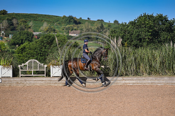 Collective Equestrian