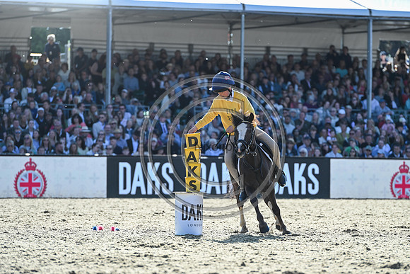 DAKS_PCMG_RWHS25_P190014