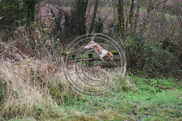 Ludlow_Hunting_77