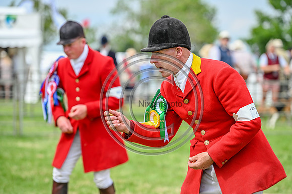 Festival of Hounds 2024
