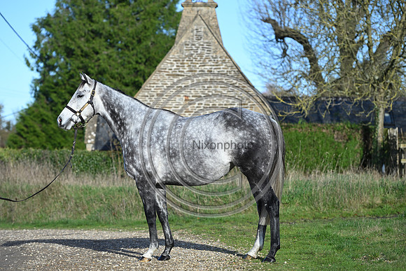 Mare_Selwood_PN59