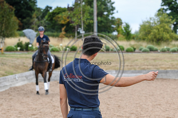 Collective Equestrian