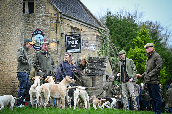 Hounds in the Community