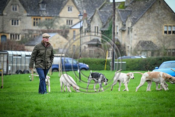 Hounds in the Community