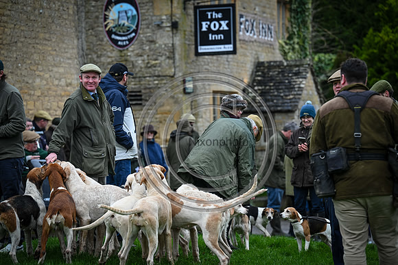 Hounds in the Community