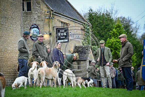Hounds in the Community