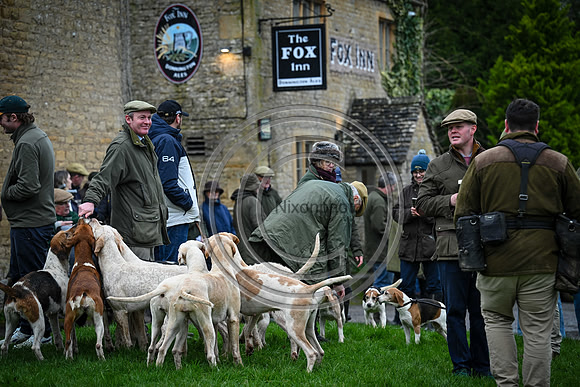 Hounds in the Community