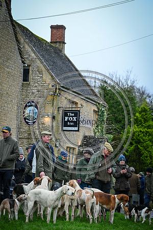 Hounds in the Community