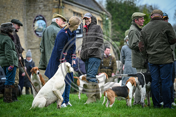 Hounds in the Community