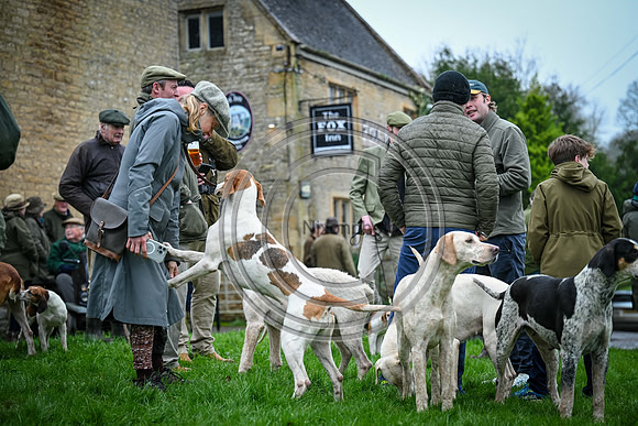 Hounds in the Community