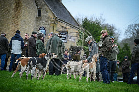 Hounds in the Community