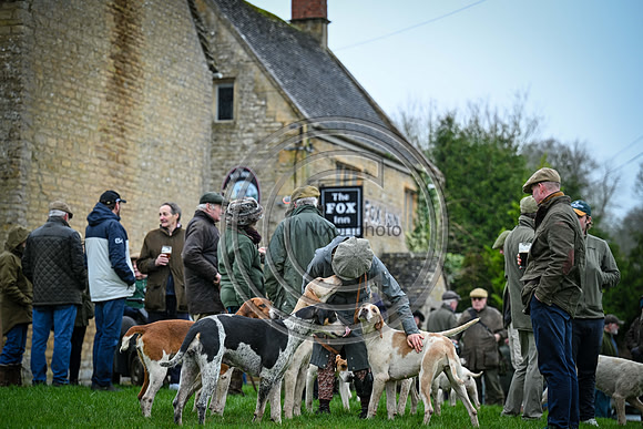 Hounds in the Community