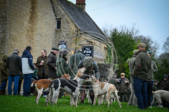 Hounds in the Community