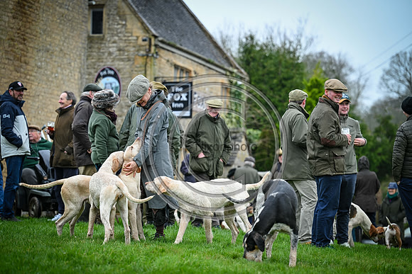 Hounds in the Community
