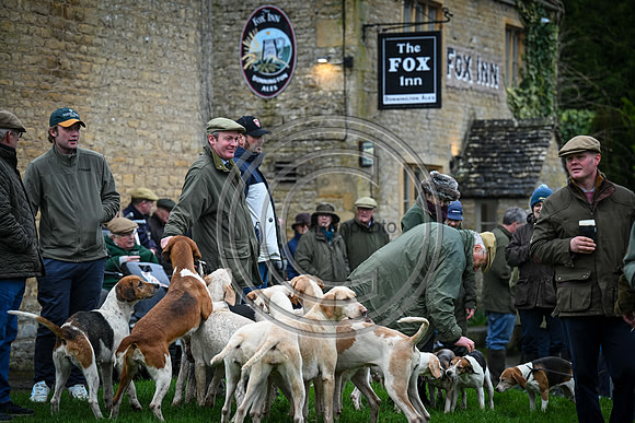 Hounds in the Community