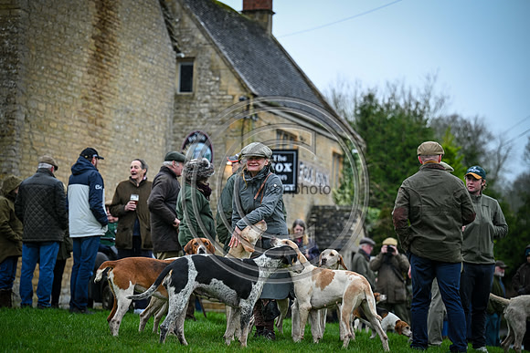 Hounds in the Community