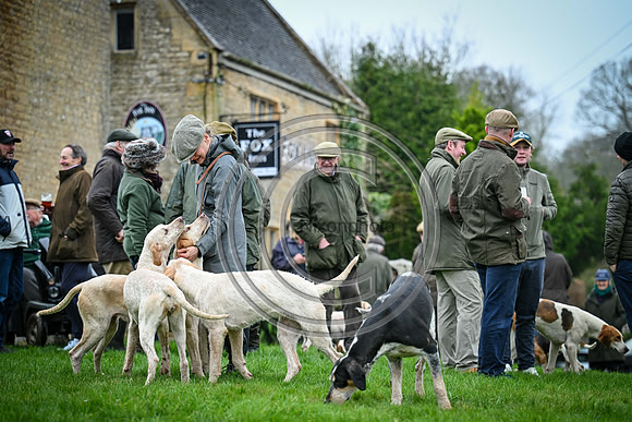 Hounds in the Community