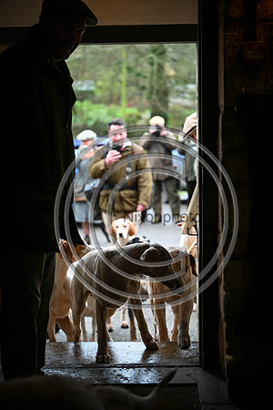 Hounds in the Community