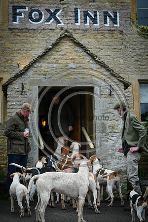 Hounds in the Community
