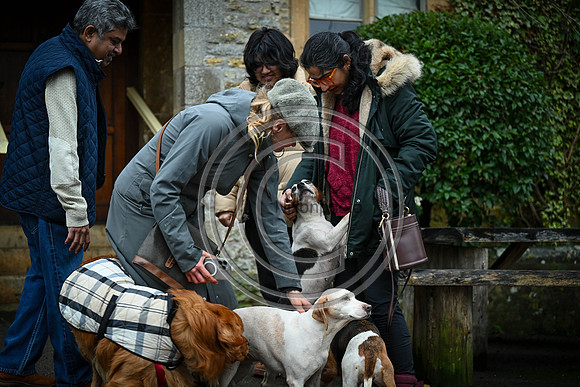 Hounds in the Community