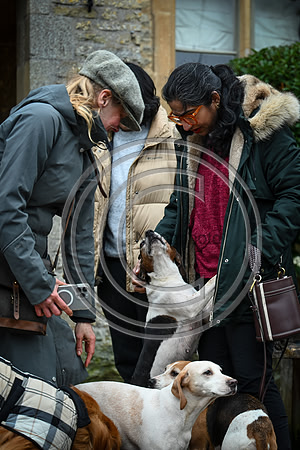 Hounds in the Community