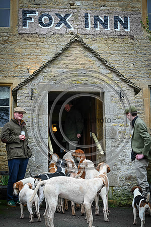 Hounds in the Community
