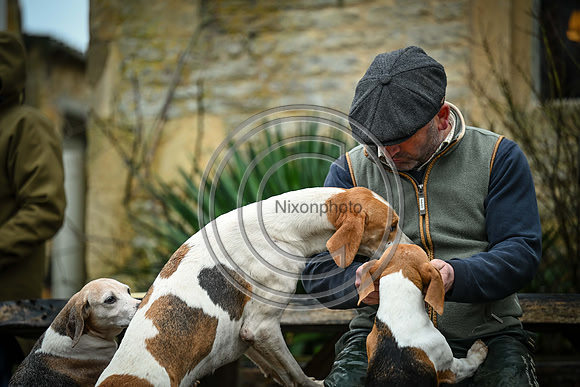 Hounds in the Community