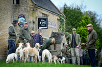 Hounds in the Community