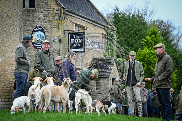 Hounds in the Community
