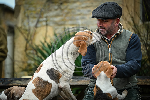 Hounds in the Community