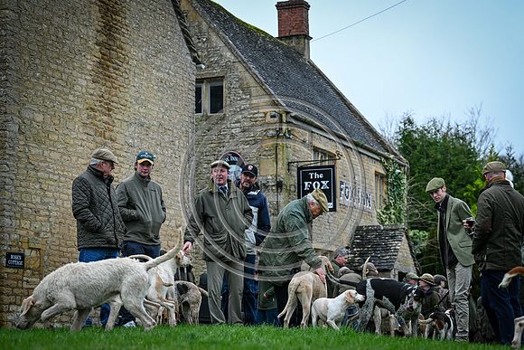 Hounds in the Community