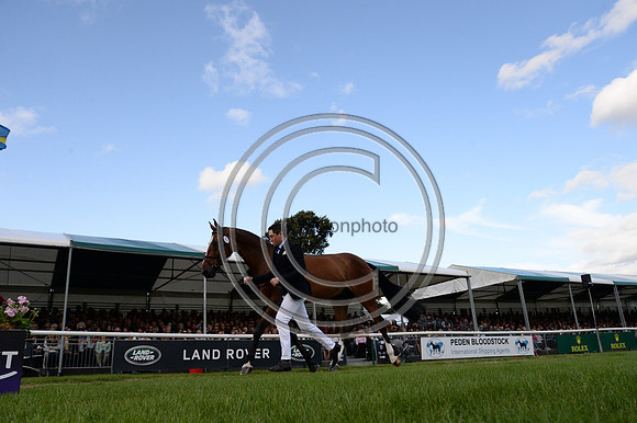 James Sommerville_TALENT_LRBHT_PN19_106480