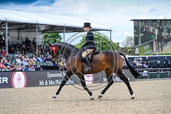Minella Rebellion_RWHS_PN24_132372