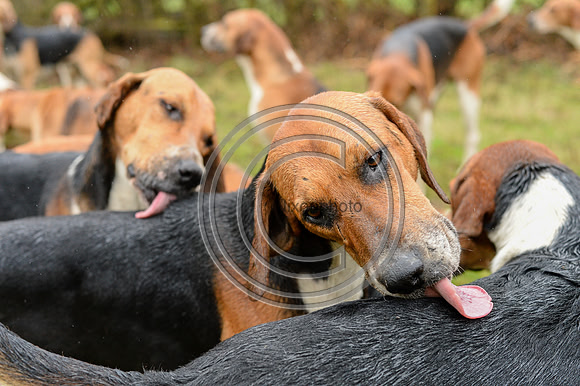 Warwickshire_Hunting_26_PN10135