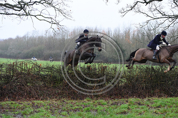 Duke of Beaufort's Hunt  08 01 22