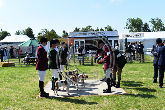Festival of Hounds 2024