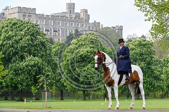 PhotoCall_RWHS_PN24_130817