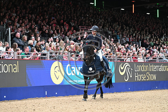 Gemma Stevens_Envoy Merelsnest Z_LIHS_PN24_181861